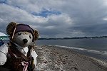 Dcim15431/DSC_1708