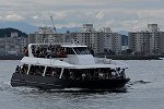 Dcim15431/DSC_1739