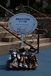 Dcim15432/DSC_1825