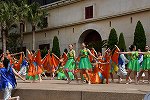 Dcim15432/DSC_1886