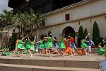 Dcim15432/DSC_1904