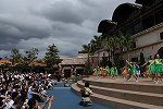 Dcim15433/DSC_1917