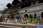 Dcim15433/DSC_1967