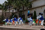 Dcim15433/DSC_1977