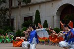 Dcim15433/DSC_1982