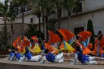 Dcim15433/DSC_1991