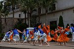 Dcim15433/DSC_1994