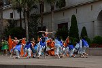 Dcim15433/DSC_1996