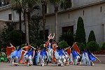 Dcim15433/DSC_1999