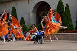 Dcim15433/DSC_2000