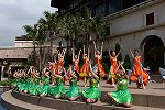 Dcim15434/DSC_2034