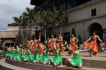 Dcim15434/DSC_2036