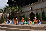 Dcim15434/DSC_2048