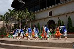 Dcim15434/DSC_2050