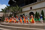 Dcim15435/DSC_2133