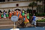 Dcim15435/DSC_2146