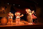 Dcim15439/DSC_2570