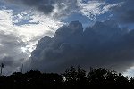 Dcim15439/DSC_2663
