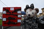 Dcim15443/DSC_3009