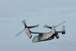 Dcim15453/DSC_4256