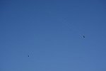 Dcim15468/DSC_6834
