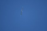 Dcim15472/DSC_5685