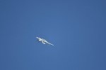 Dcim15472/DSC_5690