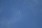 Dcim15472/DSC_5695