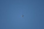 Dcim15473/DSC_5874