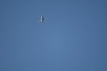 Dcim15474/DSC_6140