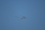 Dcim15477/DSC_6709