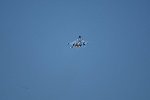 Dcim15477/DSC_6712
