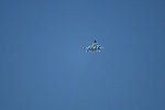 Dcim15477/DSC_6718