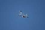 Dcim15478/DSC_6864