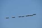 Dcim15479/DSC_7216