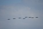 Dcim15479/DSC_7220