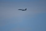 Dcim15479/DSC_7224