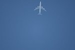 Dcim15479/DSC_7230