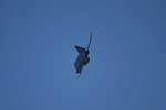Dcim15480/DSC_7375