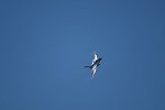 Dcim15481/DSC_7538