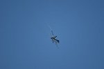 Dcim15481/DSC_7574