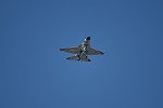 Dcim15481/DSC_7690