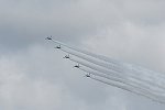 Dcim15483/DSC_7994