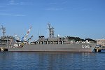 Dcim15585/DSC_8193