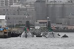 Dcim15597/DSC_9361