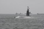 Dcim15599/DSC_9544