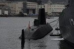 Dcim15608/DSC_0478