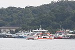 Dcim15615/DSC_1262