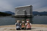 Dcim15616/DSC_1344