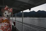 Dcim15618/DSC_1567